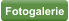 Fotogalerie